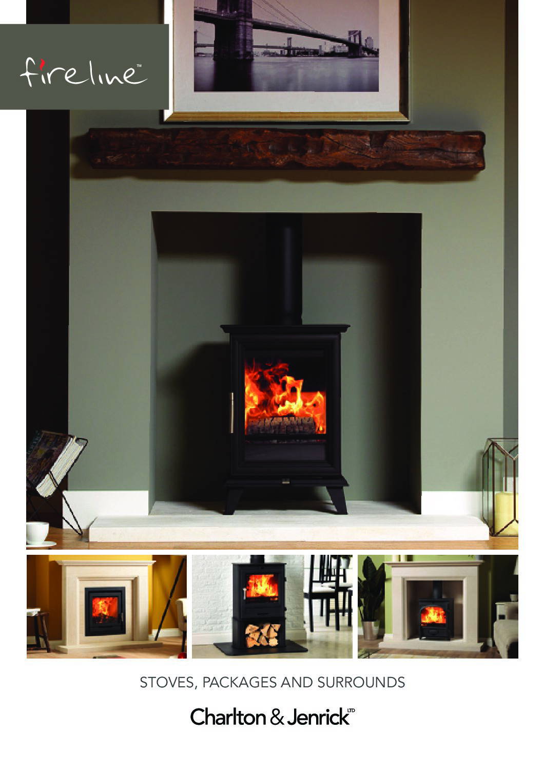 Wood Burning Stoves Fireplace Finesse Bourne